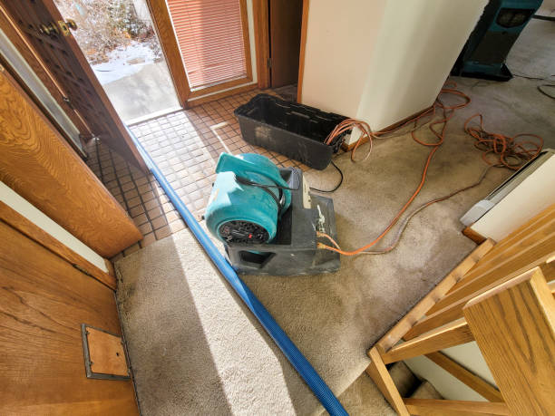 Trusted Water Damage Restoration in Gordo, AL | Fast, Reliable, and Ready to Assist You